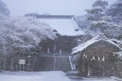 龍口寺の雪景色 ③