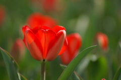 PICT0995