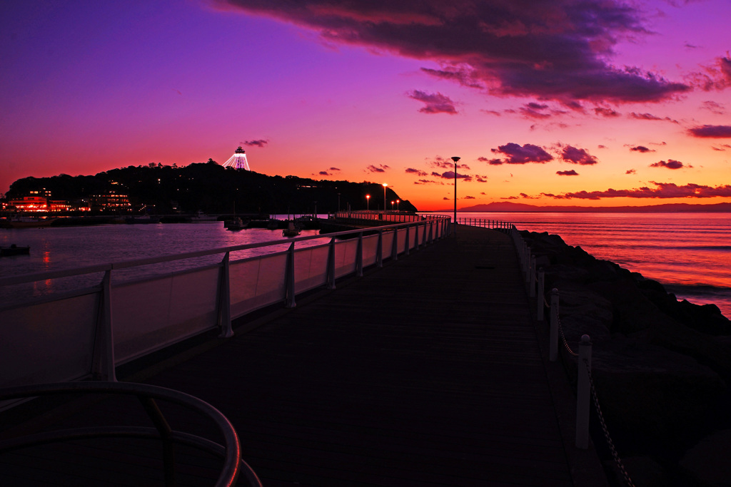 イルミ輝く湘南の夕暮れ