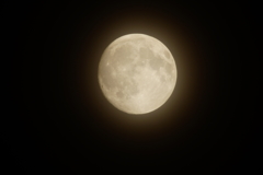 中秋の名月 DSC00398