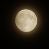 中秋の名月 DSC00398