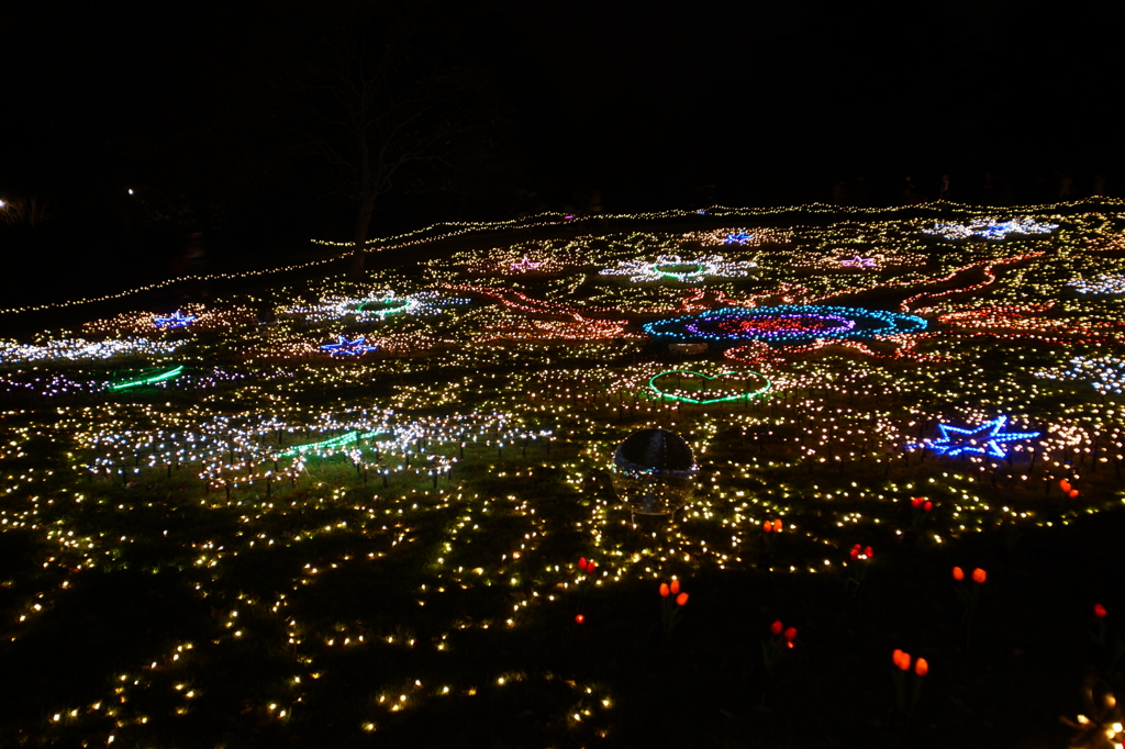 国営昭和記念公園 Winter Vista Illumination 2015 