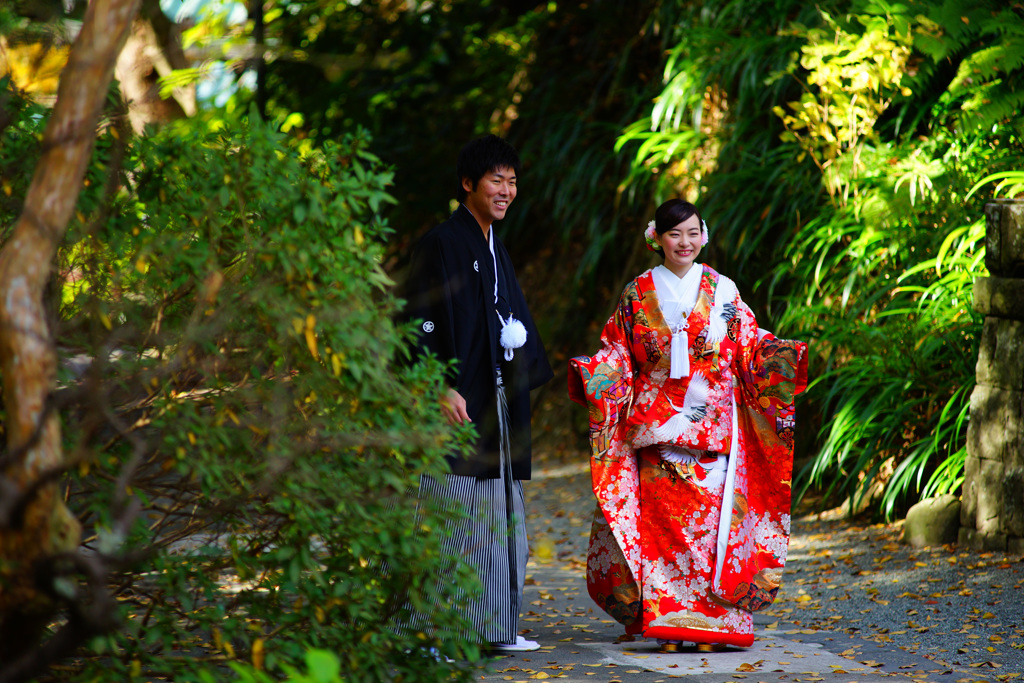 晩秋の杜で幸せいっぱいの二人に遭遇…
