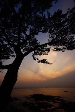 夕景 立石公園ぶら散歩 2016 2/6 DSC05254