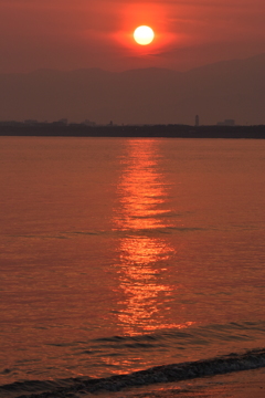 早くも真夏日 2016 5/23 DSC_2609