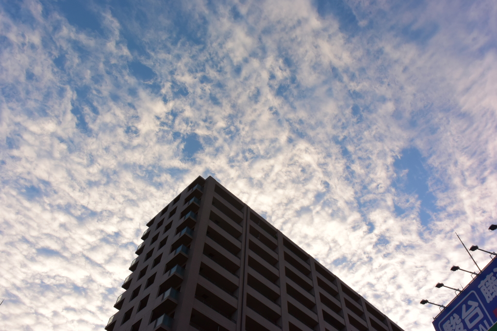 今日の雲 9/11 DSC_1951
