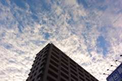 今日の雲 9/11 DSC_1951
