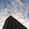 今日の雲 9/11 DSC_1951