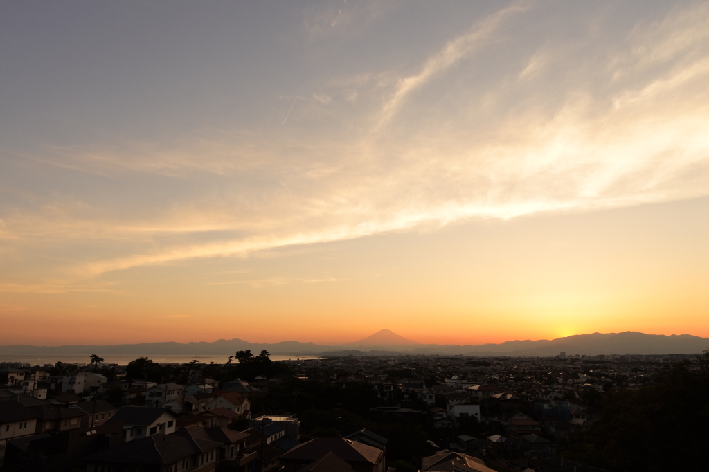今日の御褒美② 2016 5/18 DSC_0448