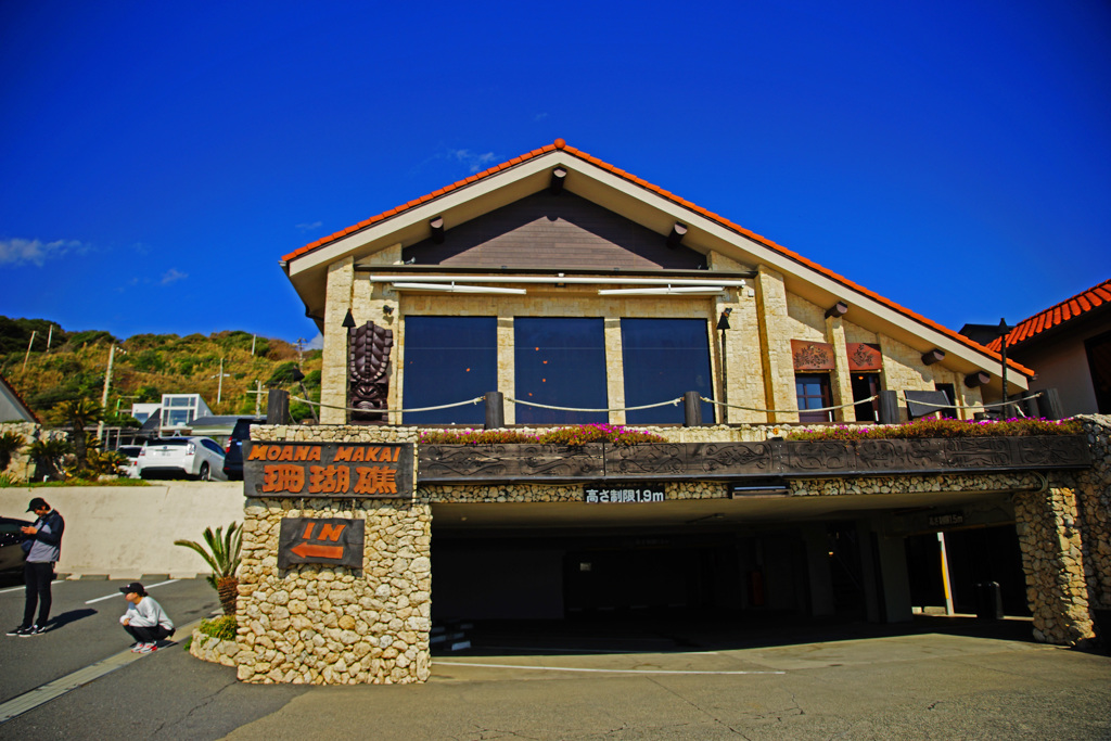 蒼い空と珊瑚礁