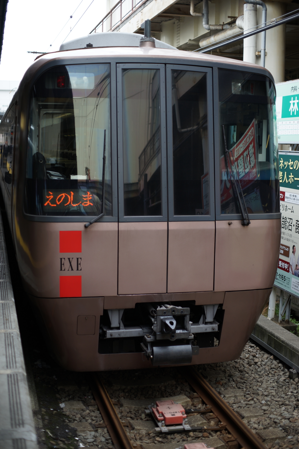 ロマンスカーで新宿御苑へ遠征 2016 3/12 DSC06714