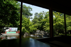 寒川神社 神嶽山神苑 2016 5/15 DSC02281