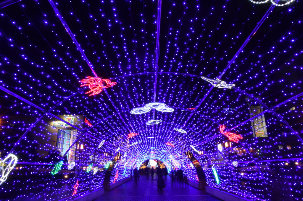 多摩センター イルミネーション 2015 12/14 DSC_2191