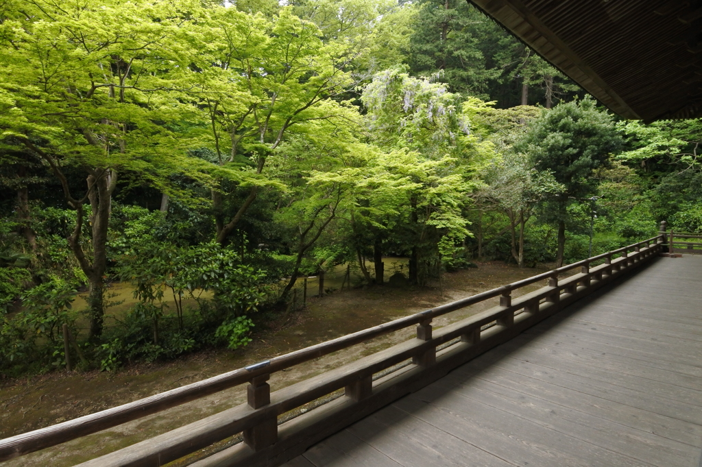 ちょっと鎌倉 2016 4/27 DSC_0336