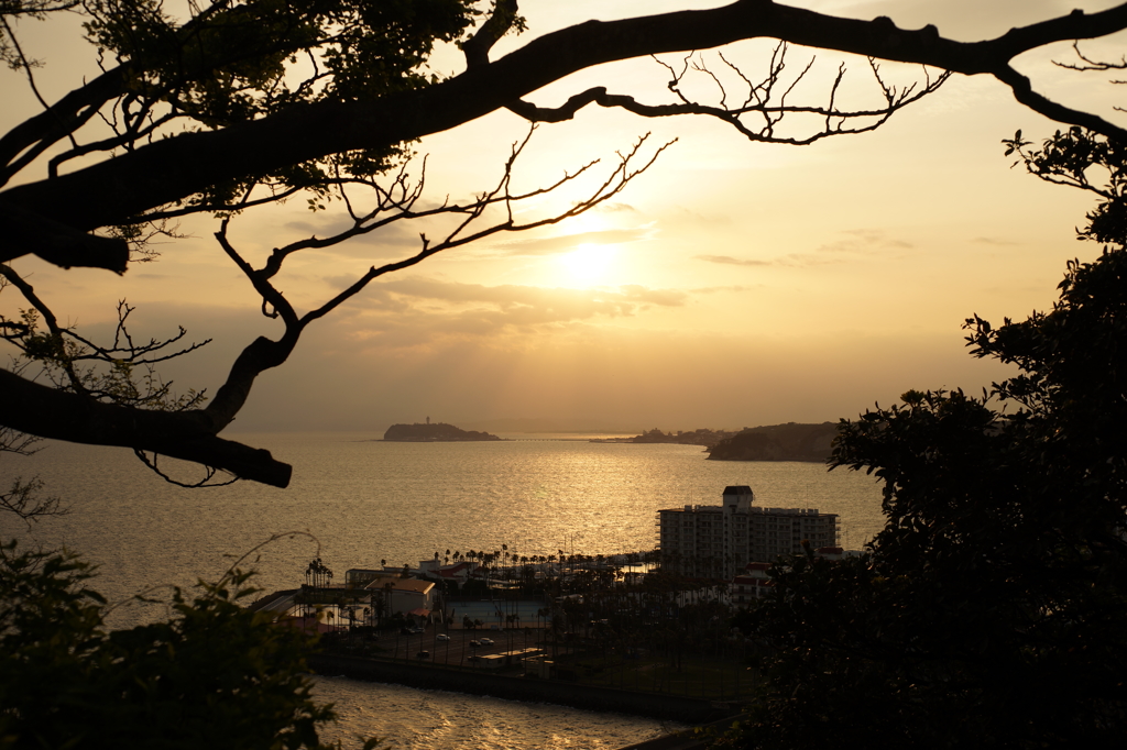 逗子マリーナの夕景 2016 4/20 DSC09018