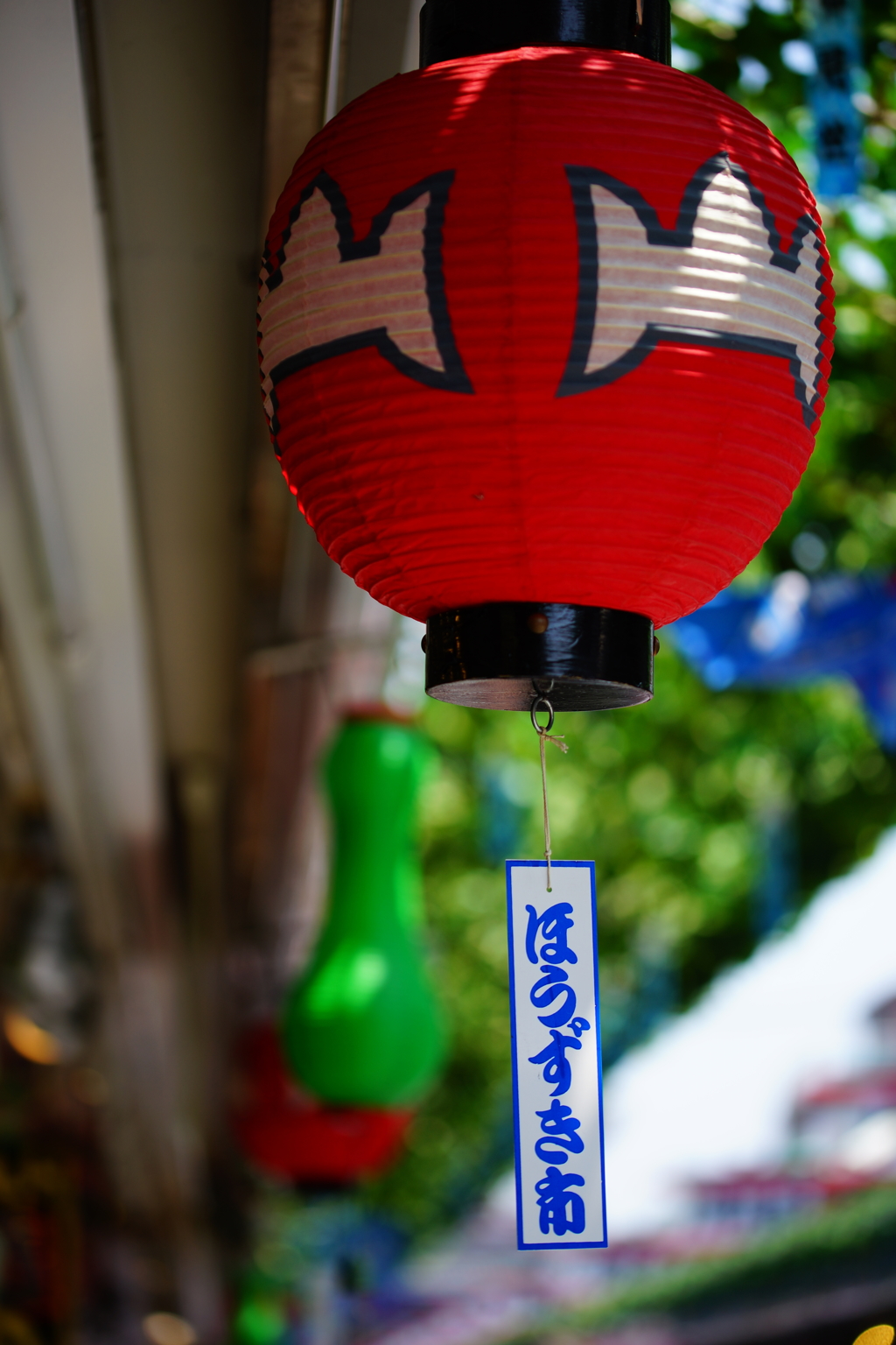 浅草寺～鬼灯市散策 ①