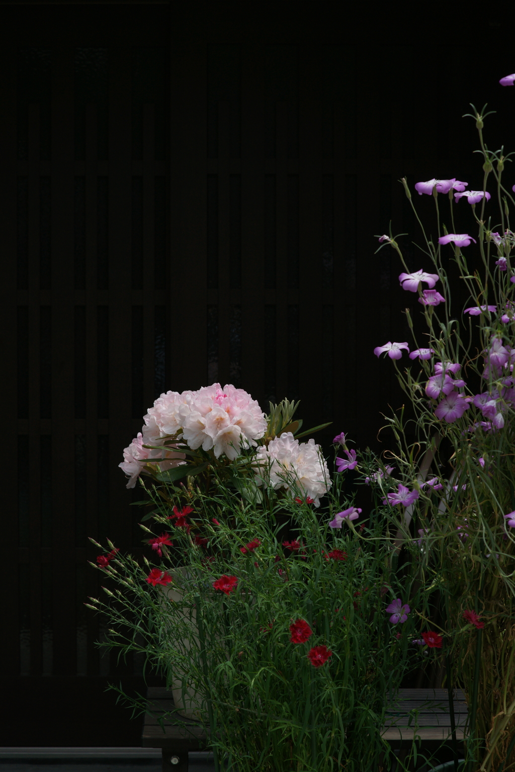 鎌倉を歩く 2016 5/3 DSC07578