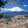 みんな桜と富士山が好き…④