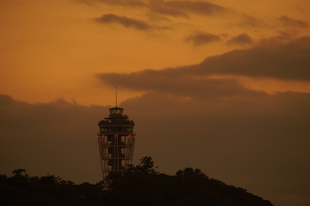 肩透かしの夕暮れ 2015 10/25 DSC00868