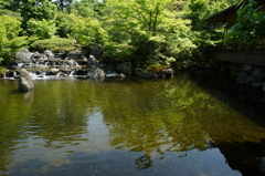 寒川神社 神嶽山神苑 2016 5/15 DSC02159