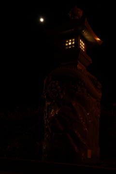 ムーン 2015 11/28 DSC02454
