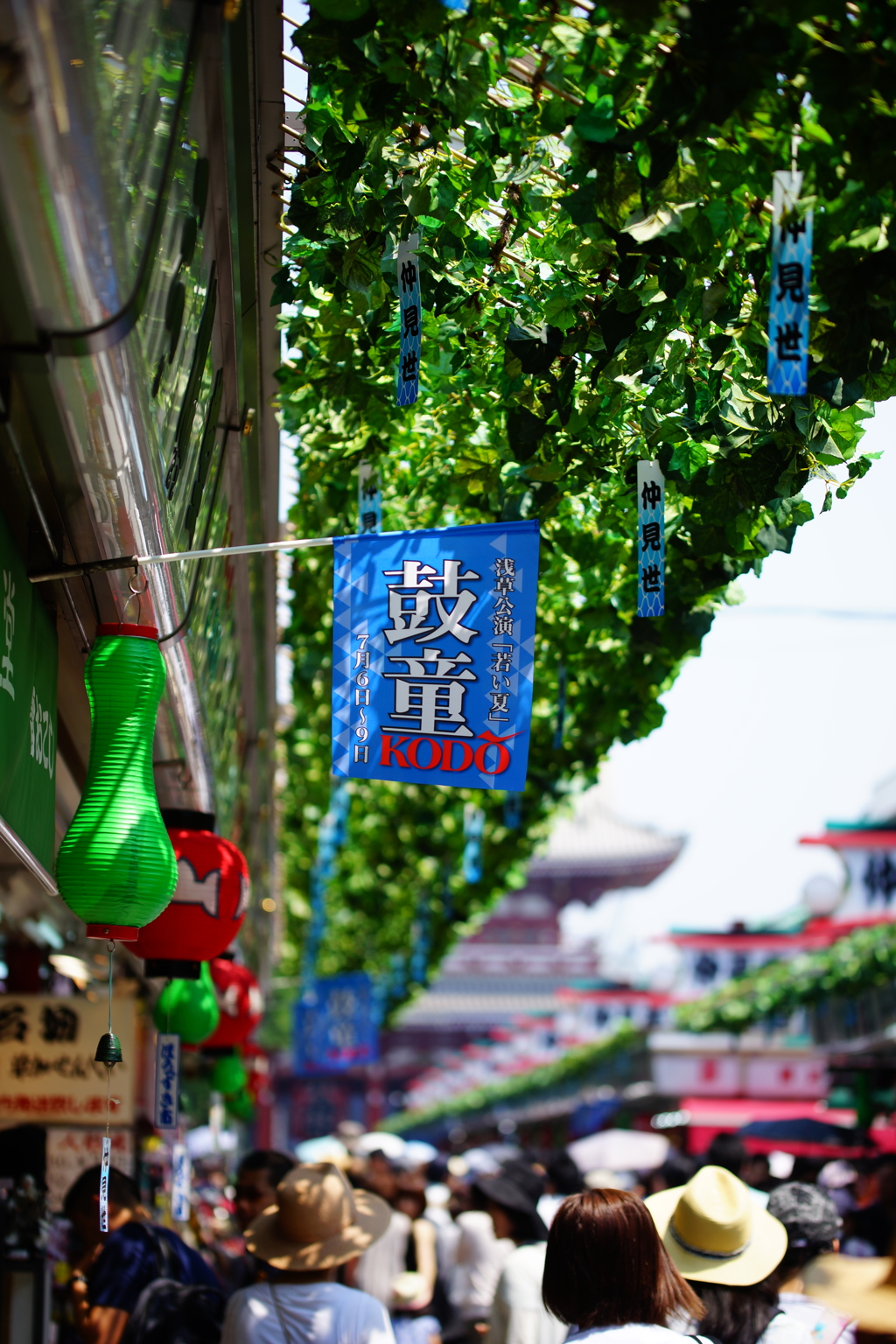 浅草寺～鬼灯市散策 ②