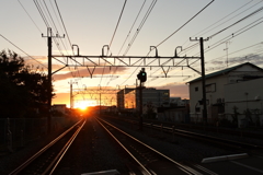 朝陽