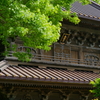 鎌倉 英勝寺拝観 2016 5/3 DSC07247