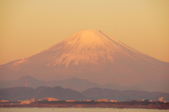 2016 元旦の湘南 DSC03876