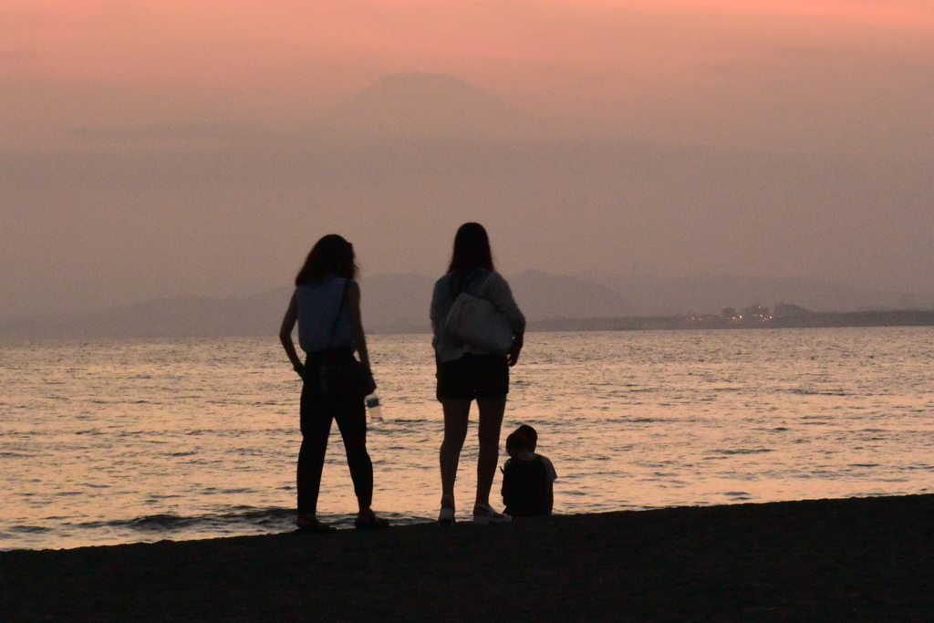 暮れちゃったね...でも綺麗だね～夕暮れのシルエット～　DSC_2850