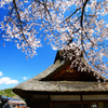 忍野村を訪ねて...桜と茅葺屋根