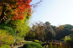 秋色庭園散策