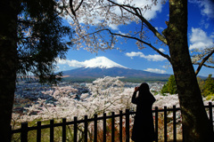 富士と桜を撮る君を…