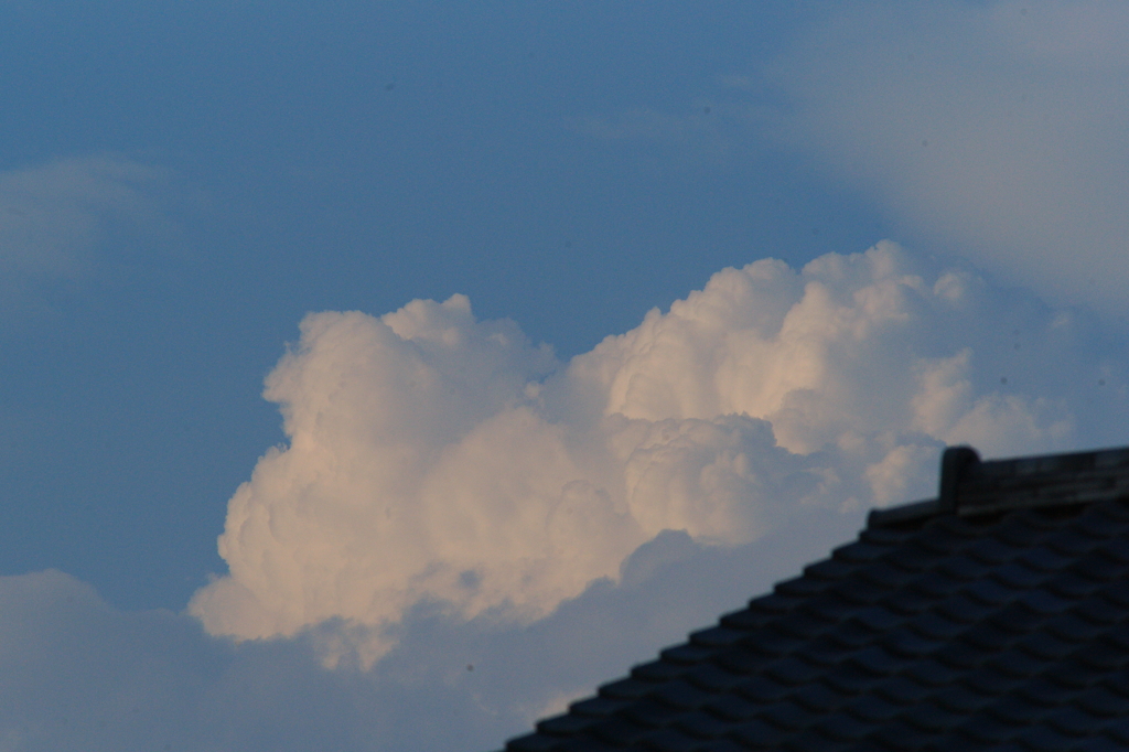 夏空 ぶら散歩 8/16 DSC05829