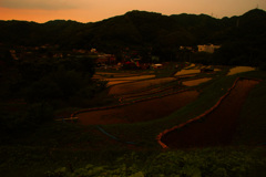 湘南の棚田で観た夕景 ⑧