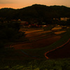 湘南の棚田で観た夕景 ⑧