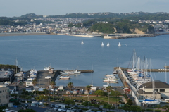 夕刻の江の島へ 2016 5/21 DSC08793