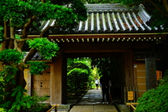 報国寺 拝観 2016 8/20 DSC07792