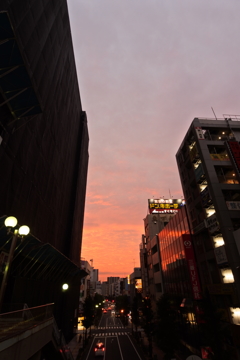 朝焼けの街