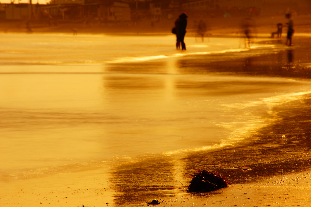 太陽の光の中で 2016 6/26 DSC04097