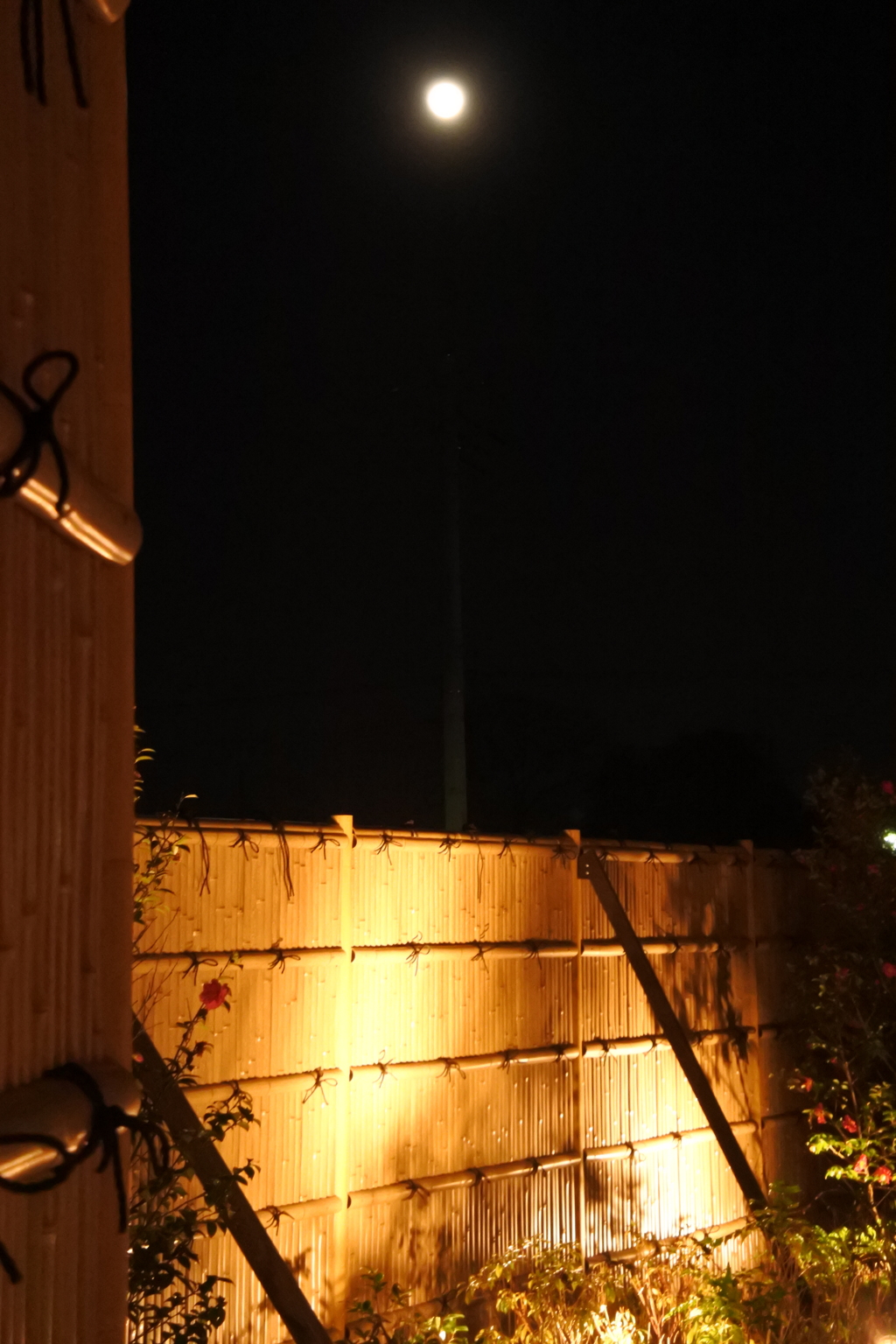 月夜の鬼平江戸処 羽生PA 2015 12/26 DSC_0105