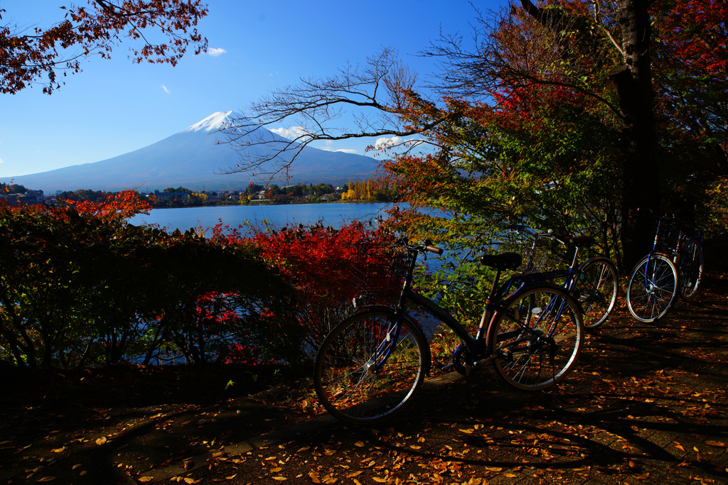 紅葉狩りサイクリングも良いもんだね...