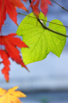 今年もあと僅か...⑤
