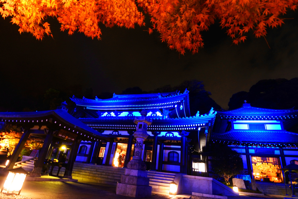 紅葉とブルーライトの長谷寺