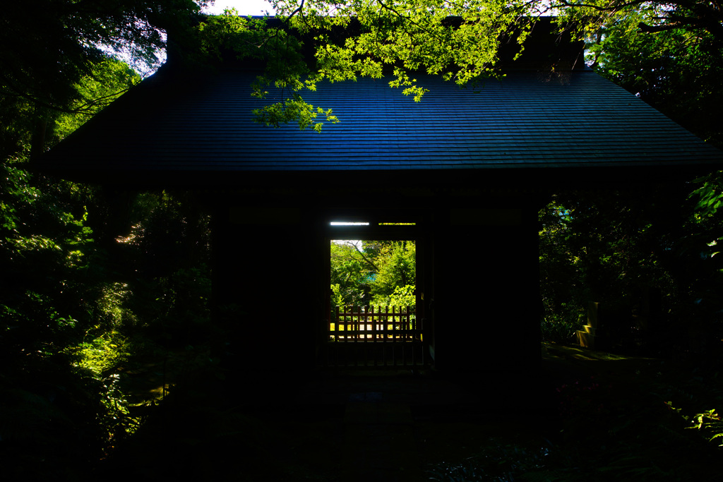 神秘的な苔寺～妙法寺～⑥