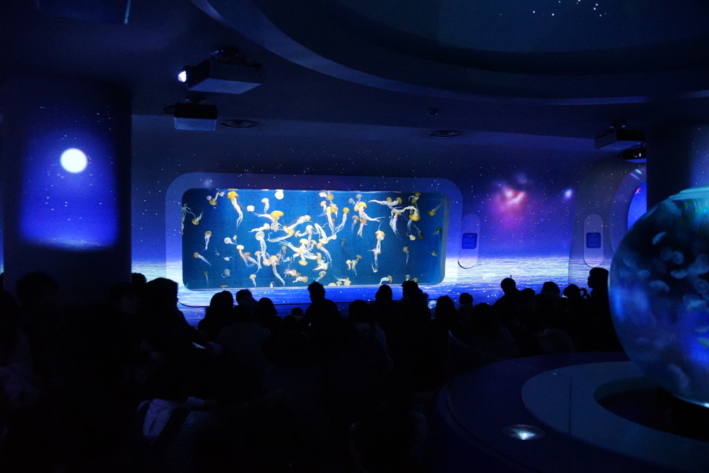 ナイトワンダーアクアリウム2016～月光に漂う水族館～⑦