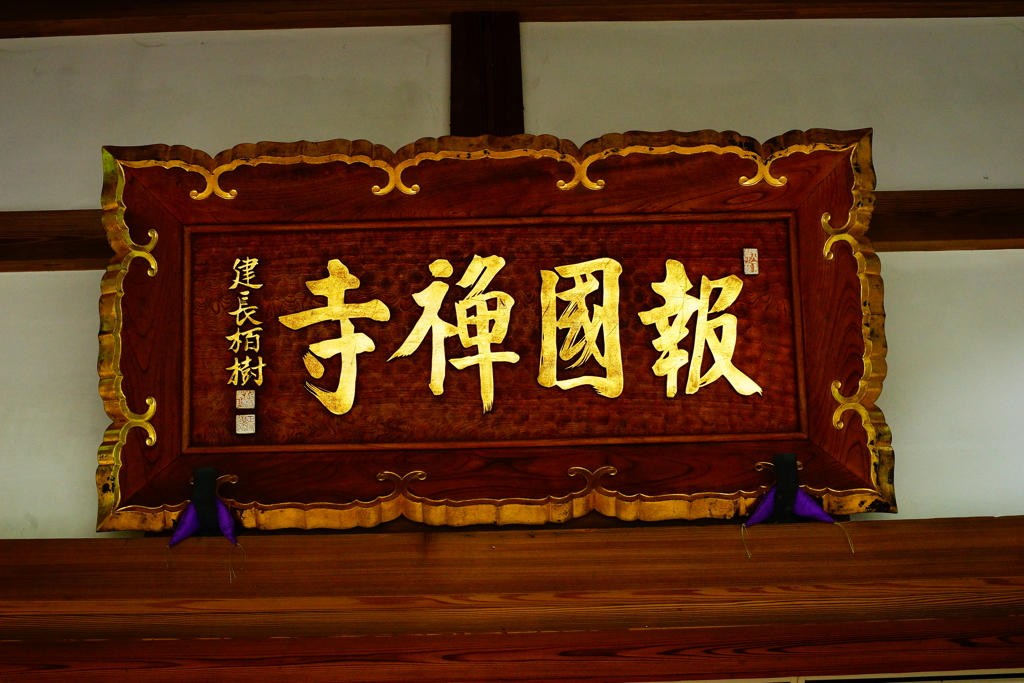 報国寺 拝観 2016 8/20 DSC08258