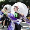 よさこい祭り6