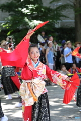よさこい祭り5