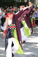 よさこい祭り2